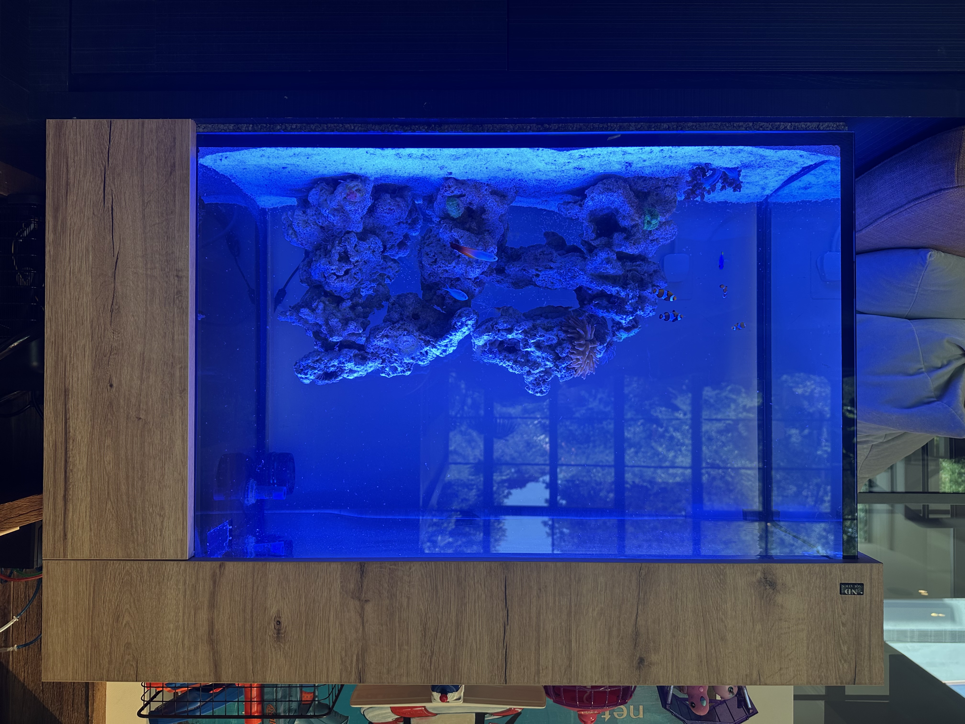 Celebrity Standard - Gordon Ramsay Tank