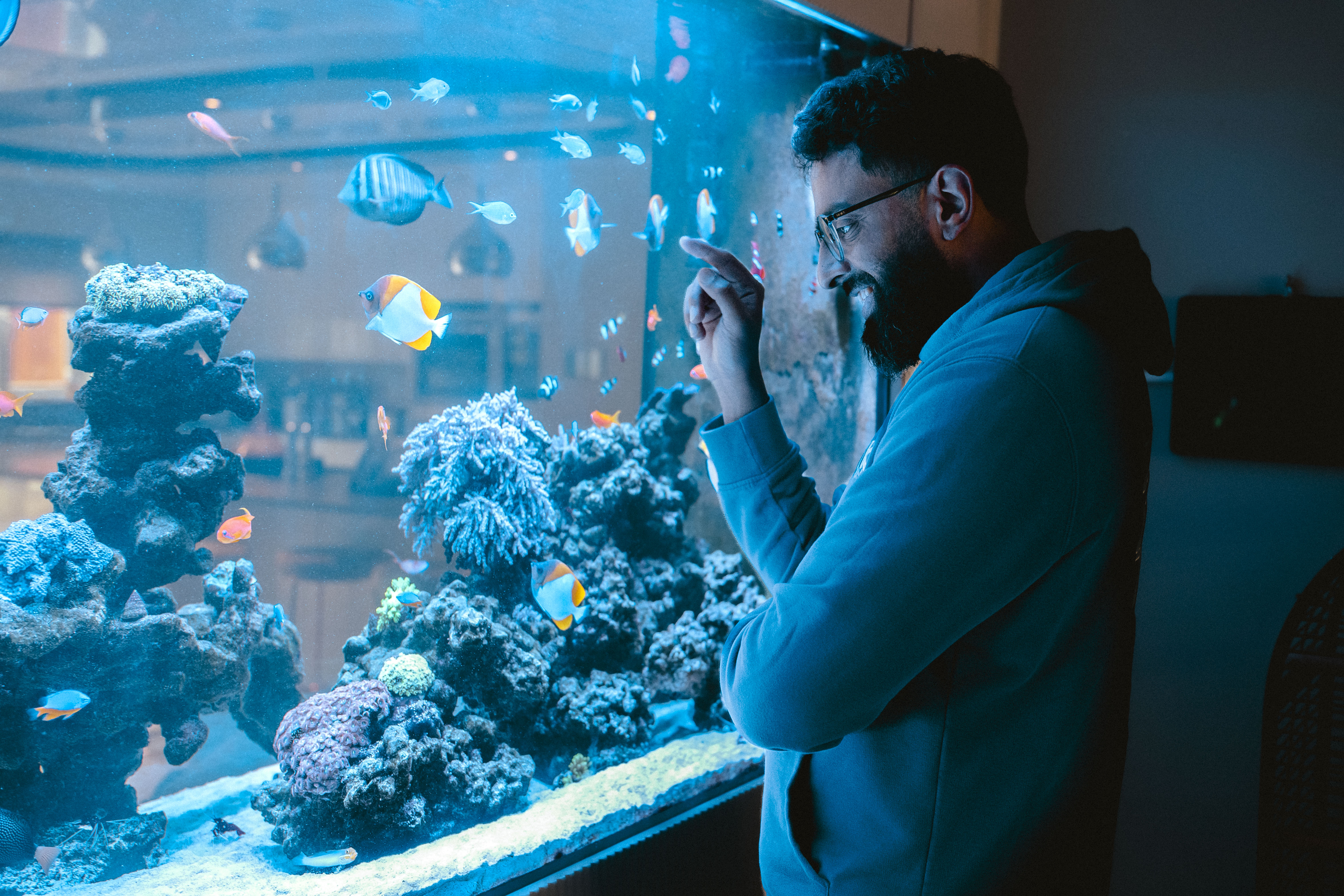 Portrait of Majid Haq beside a crystal-clear reef tank